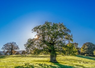 Maintains Clean Air Image